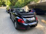 Volkswagen New Beetle - Volkswagen New Beetle mit Benzin-Antrieb: Cabrio