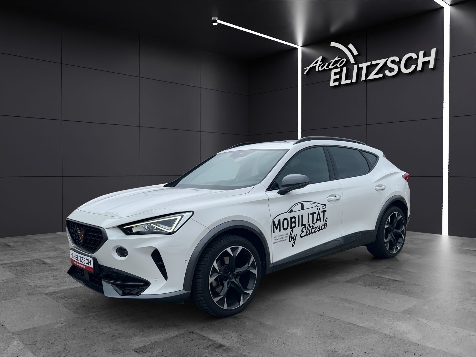 Fahrzeugabbildung CUPRA Formentor TSI DSG 4Drive LED Navi Pano AID ACC R