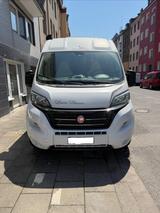 Roller Team Livingstone 2 Prestige Linea Goldschmitt Voll - Roller Team Kastenwagen