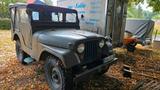 Jeep Kaiser Jeep CJ5 von der Schweizer Armee. B... - Jeep: Kaiser