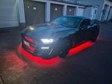 Ford Mustang 5.0 Ti-VCT V8 GT GT - Ford Mustang Gebrauchtwagen in Düsseldorf