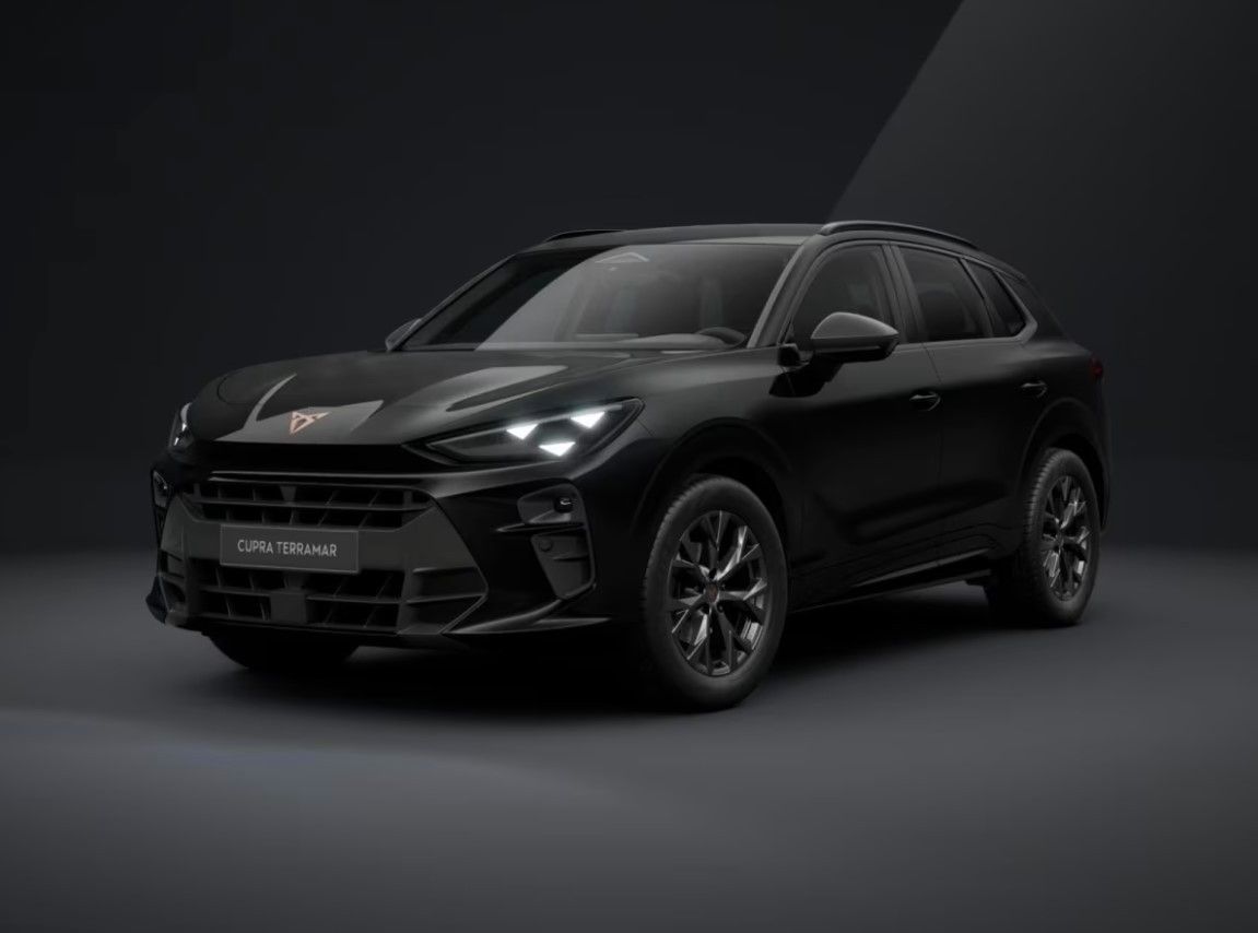 Cupra Terramar - Bild 2