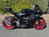 Suzuki GSX-R125 1Hand 11KW Tüv neu !!!!!!!!!! - SUZUKI GSX 125