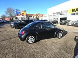 Volkswagen New Beetle Miami HIGH- TÜV 1.28 ALU KLIMAANLAGE - gebrauchte VW New Beetle aus dem Jahr 2005