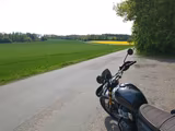 Royal Enfield Bear 650 Golden Shadow - Royal Enfield Bear 650