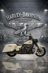 Harley-Davidson FLHRXS Road King Special  - Harley-Davidson Road King Special (FLHRXS)