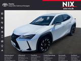 Lexus UX 250h 2.0 Hybrid Style Edition Velours - Lexus UX aus 2023