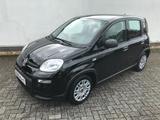 Fiat Panda MY24 1.0 GSE Hybrid Klimaanlage - Fiat Panda Gebrauchtwagen in Aachen
