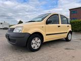 Fiat Panda - Fiat Panda in Oldenburg