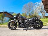 Indian Scout Bobber