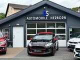 Ford Fiesta ST-Line/Navi/Shz./ST-Black/8Fach bereift - Ford Fiesta: ST Line Black