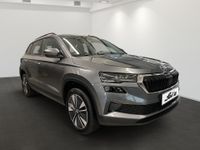 Skoda Karoq - Vorschau Bild 3