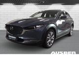 Mazda CX-30 Selection 2WD 360° Bose Ganzjahresreifen H - Mazda CX-30