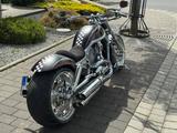Harley-Davidson V-Rod Thunderbike Komplettumbau Fat Mary - HARLEY-DAVIDSON 2003 V ROD