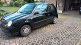 Volkswagen Lupo 1.0 BASIS Basis - Volkswagen Lupo: Basis