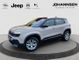 JEEP Avenger Altitude 1.2 100PS Winterpaket
