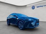 Lexus NX350h 4x4 Luxury Line + Panorama Modell2026 - Lexus NX Luxury-Line