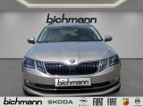 Skoda Octavia Style Apps Cli2 LED Kessy PDCVH LHZ DAB - Skoda in Iserlohn