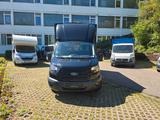 Ford Transit Pritsche 350 L2 Einzelkabine - Ford: Pritsche