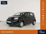 Fiat Panda 1.0 GSE Hybrid - gebrauchte Fiat Panda aus dem Jahr 2024
