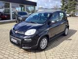Fiat Panda 1.0 GSE Hybrid - gebrauchte Fiat Panda aus dem Jahr 2022