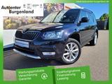 Skoda Yeti 1.4 TSI DSG Joy 4x4 Standheizung+Anhängerku - Skoda Yeti: Dsg
