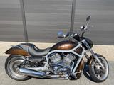 Harley-Davidson VRSCA V-Rod - Angebote