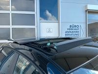 Seat Ibiza 1.0 TSI DSG STYLE SHZ ACC PANO KAM 5J GAR bei Autohaus Landmann & Maier OHG