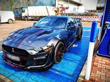 Ford Mustang GT500 Shelby umbau 5.0L V8 S550 - Ford: F550