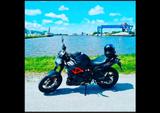 Aprilia Shiver 900 - APRILIA SHIVER 900