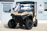 Linhai T-Boss 550 UTV EFI*LOF*ALLRAD*SEILWINDE*GARANTIE