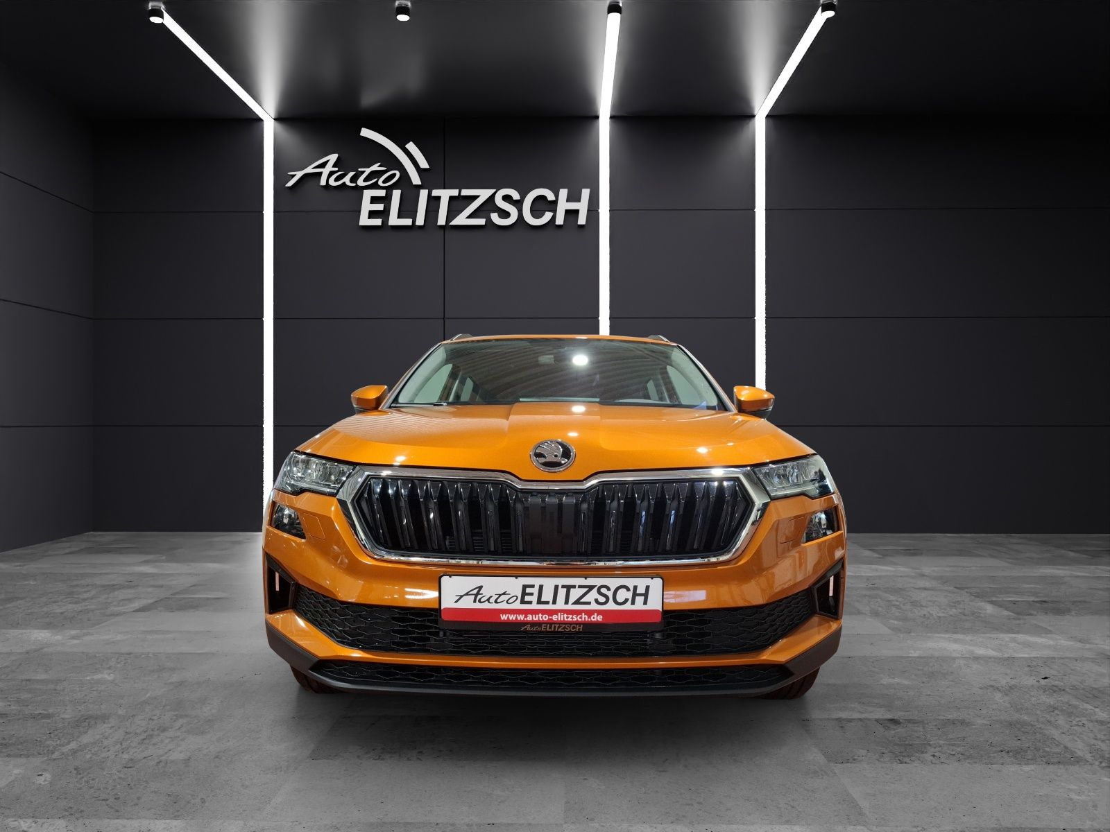 Fahrzeugabbildung SKODA Karoq TSI Ambition DSG LED AID GRA PDC SH
