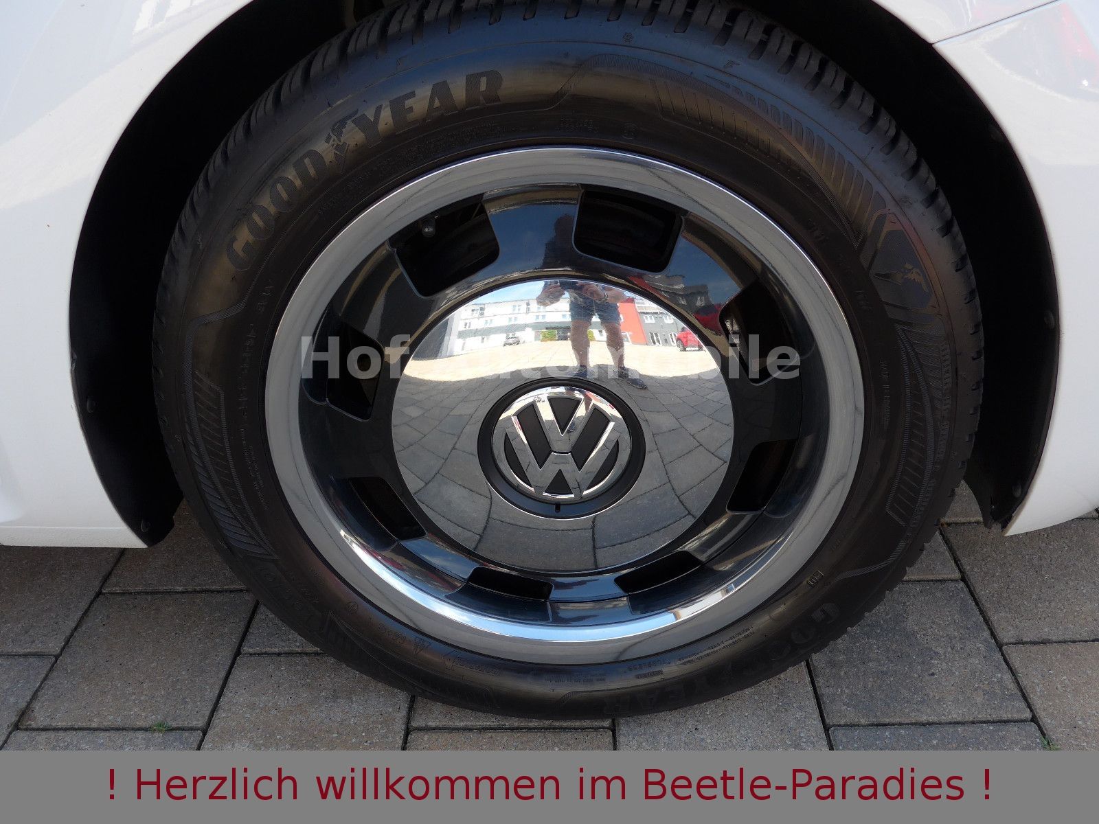 Volkswagen Beetle 1.2TSI DSG Cup SHZ Klimaaut. Allwetter foto 10