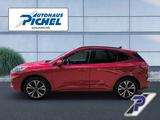 Ford Kuga ST-Line X PHEV AHK-el.schw.+ST-STYLING-PAKE - Ford Kuga mit Panoramadach