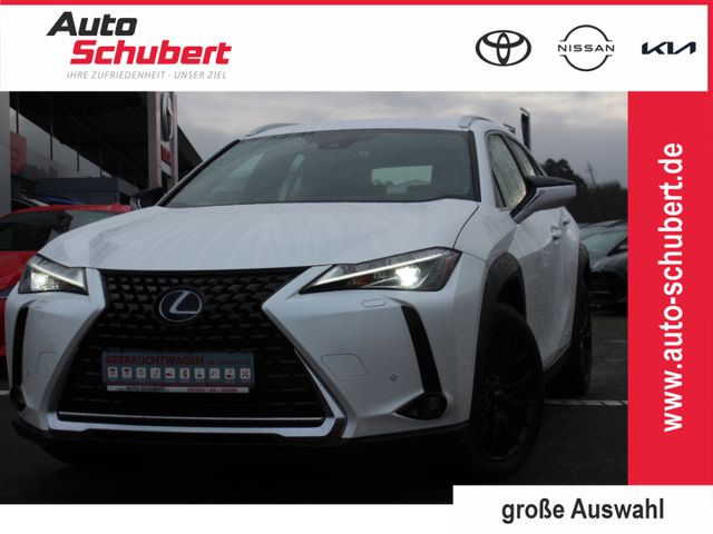 Lexus UX 250h Executive LED+SITZHZG.+KAMERA+TEMPOMAT+ 