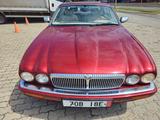 Jaguar Daimler 6.0 Double Six Auto Lang Double Six - Jaguar Daimler von privat