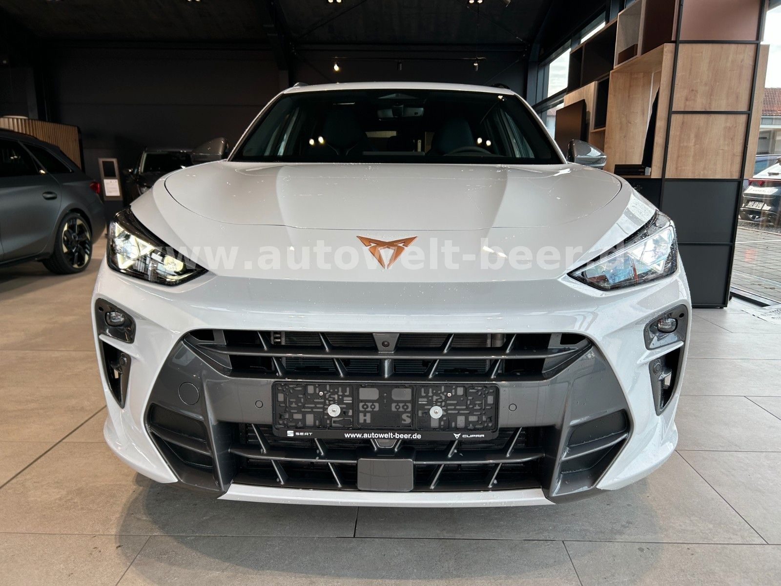 Cupra Terramar - Bild 4