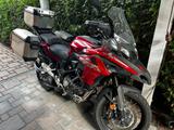Benelli TRK 502 X  13.000 km 1. Hand Koffer - BENELLI TRK 502
