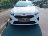 Kia pro_cee'd / ProCeed 1.6 T-GDI DCT GT GT - Kia pro cee'd / ProCeed: Privatanbieter