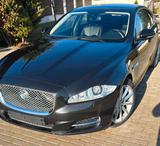 Jaguar xj 3.0 tdv6 - Jaguar XJ mit Diesel-Antrieb: 6.3