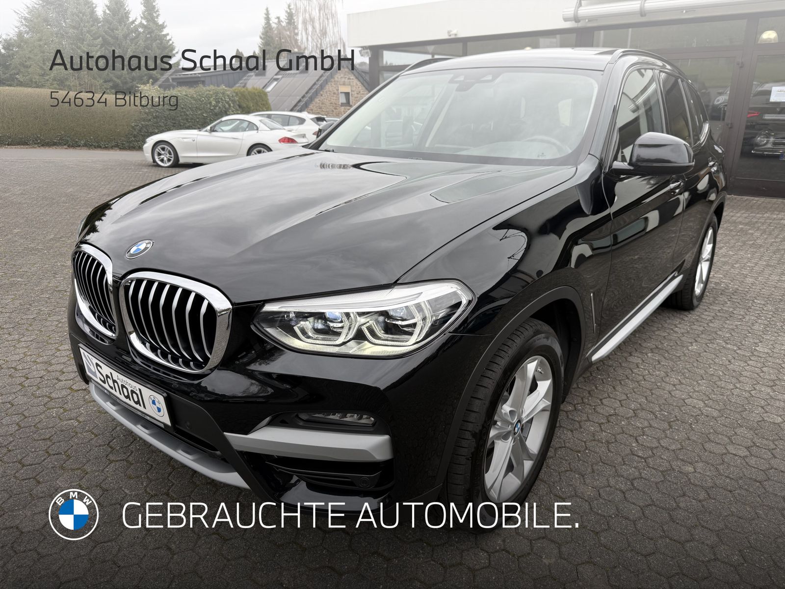 BMW X3 xDrive30d xLine Navi AHK HiFi Shz PDC Teilled