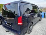 Mercedes-Benz V 250 Marco Polo Edition ,Küche,19 "Alu,Standhei - Behindertengerecht