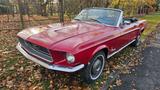 Ford Mustang CABRIO V8 Automatic - Ford Mustang Oldtimer: Roadster