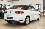 Volkswagen Golf 6 VI Cabriolet 1.6 TDI BMT Highline LED/CAM - Volkswagen Golf mit Diesel-Antrieb: Cabrio, 1.6