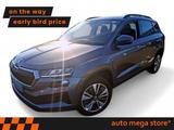 Skoda Karoq 2.0 TDI Ambition DSG Kamera/ACC/AUT/LED - gebrauchte Skoda Karoq aus dem Jahr 2023