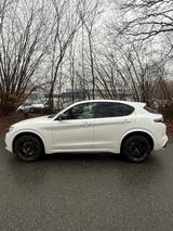 Alfa Romeo Stelvio 2.9 Bi-T. V6 375kW Quadrifoglio AT8-... - Alfa Romeo: 3.2