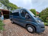 Fiat Ducato mit Camping Ausbau - Kastenwagen Ausbau