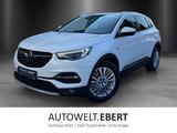 Opel Grandland X 2.0 CDTI Aut./Bi-LED/ACC/360°/AHK/ - Opel: 3.0