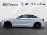 BMW 218d Coupé/ M-Sport / AHK/ M-Sportfahrwerk/ Alca - BMW 218 mit 3 Türen