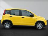 Fiat Panda Pandina Hybrid Neuzustand! Topausstattung! - Fiat Panda mit Hybrid-Antrieb